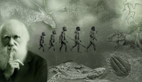 12-de-fevereiro-charles-darwin-biologo-britanico-evolucionista