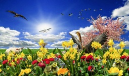 22 de Setembro – Primavera de flores, animais e avião.