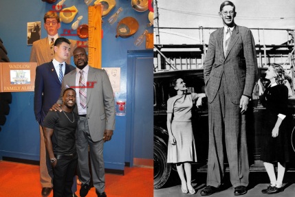 15 de Julho - 1940 - Morre Robert Wadlow, homem mais alto da história, que media 2,72 metros de altura.
