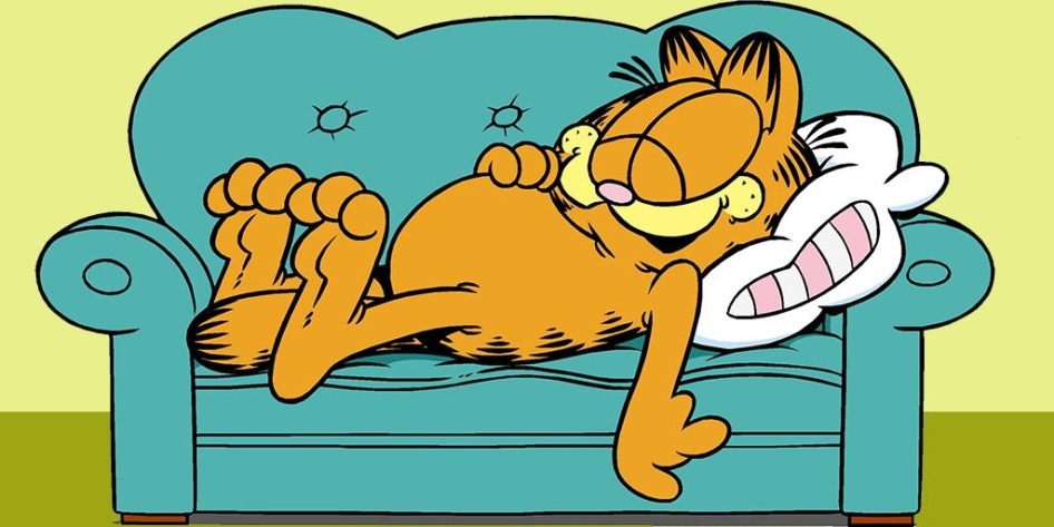 19 de Junho - 1978 - A tirinha de história em quadrinhos Garfield é publicada pela primeira vez.