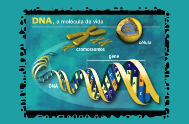 14 de Abril - Projeto Genoma Humano